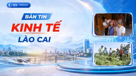 Bản tin kinh tế Lào Cai ngày 28/10