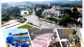 Bản tin kinh tế Lào Cai ngày 7/10