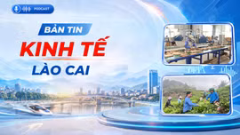 Bản tin kinh tế Lào Cai ngày 24/10