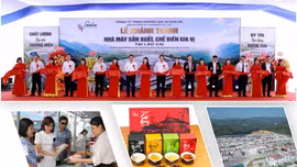 Bản tin kinh tế Lào Cai ngày 14 tháng 8