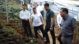 Phó Chủ tịch Thường trực Ủy ban MTTQ Việt Nam tỉnh Hà Đức Minh thăm các mô hình kinh tế, du lịch tại Mù Cang Chải