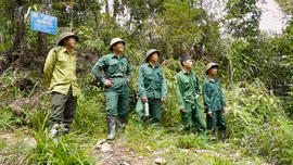 Người lan tỏa phong trào bảo vệ rừng ở Tà Dông