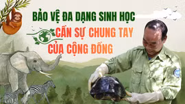 Bảo vệ đa dạng sinh học: Cần sự chung tay của cộng đồng