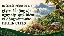 Hướng dẫn trình tự, thủ tục gây nuôi động vật nguy cấp, quý, hiếm và động vật thuộc Phụ lục CITES