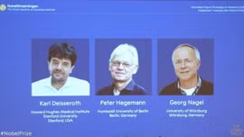 Ba nhà nghiên cứu giành Nobel y học nhờ giải mã hoạt động não bộ