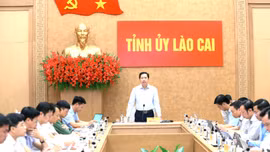 Thường trực Tỉnh ủy chỉ đạo tháo gỡ khó khăn, đẩy nhanh tiến độ các dự án công nghiệp trọng điểm phía Nam của tỉnh