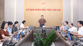 Lào Cai tuyển chọn 4 nhiệm vụ khoa học và công nghệ lĩnh vực y tế