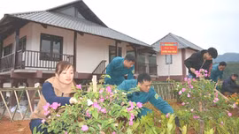 Bài 1: Gượng dậy từ tận cùng đau thương