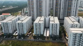 Nhà ở xã hội đã trả đủ tiền mua, có được cho thuê trong 5 năm đầu?