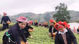 Lào Cai: Từ chính sách đến cuộc sống – Những đổi thay ở vùng đồng bào dân tộc thiểu số