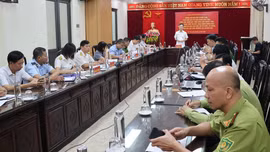 Phó Chủ tịch UBND tỉnh Nguyễn Thành Sinh làm việc với một số xã về công tác quản lý hoạt động khai thác, kinh doanh đá quý