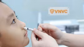 Việt Nam lần đầu có vaccine cúm dạng xịt mũi, VNVC triển khai đầu tiên và duy nhất