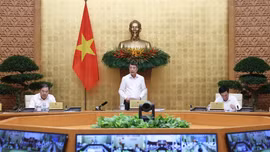 Thủ tướng: Cần những giải pháp mạnh hơn nữa trong giai đoạn nước rút của năm 2026