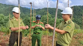Xã Nghĩa Đô ra quân triệt phá các điểm bẫy bắt chim di cư