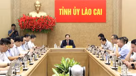 Lào Cai tham dự Hội nghị trực tuyến tập huấn chuyên đề về ứng dụng trí tuệ nhân tạo và phát triển kinh tế số