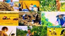 Đề xuất chính sách phát triển kinh tế nông thôn, đa dạng hóa sinh kế, việc làm