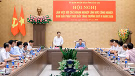 Chủ tịch UBND tỉnh Nguyễn Tuấn Anh: Kịp thời tháo gỡ khó khăn, vướng mắc, không để chậm trễ làm mất cơ hội sản xuất, kinh doanh của doanh nghiệp