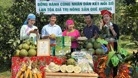 Bảo Thắng: Hỗ trợ người dân livestream quảng bá và kết nối tiêu thụ nông sản địa phương