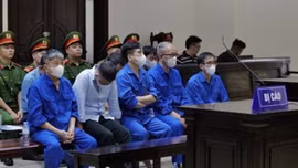 Cựu Bộ trưởng Nguyễn Thị Kim Tiến được đề nghị giảm án từ 6 đến 12 tháng tù