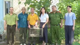 Xã Bản Xèo bàn giao cá thể kỳ đà hoa để cứu hộ