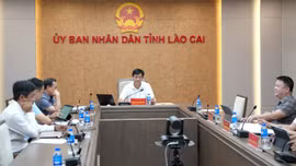 Lào Cai tham dự hội nghị trực tuyến về rà soát, tháo gỡ vướng mắc các công trình trọng điểm