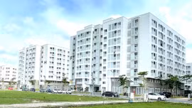 Có 2 con đẻ trở lên, mua nhà ở xã hội theo điều kiện nào?