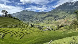 Từ du lịch cộng đồng đến những sinh kế mới ở Tả Van