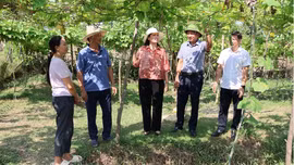 Ban Tuyên giáo và Dân vận Tỉnh ủy khảo sát mô hình "Dân vận khéo" tại xã Lục Yên