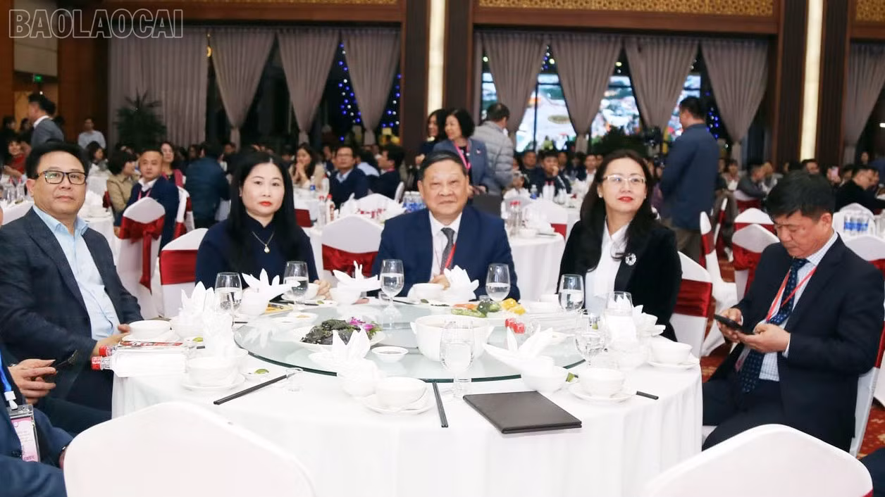baolaocai-tl_sa-11.jpg
