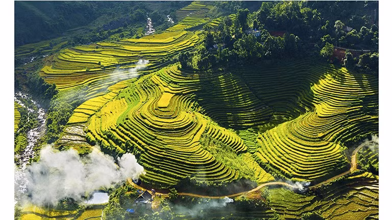 ruong-bac-thang-vi-phai-xa-bat-xat.jpg