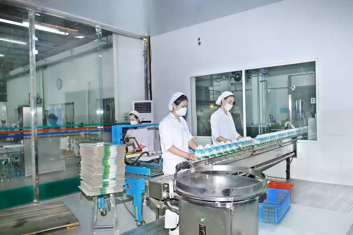 Việc giảm thuế 2% sẽ giúp thúc đẩy hoạt động sản xuất, kinh doanh sớm phục hồi và phát triển để đóng góp trở lại cho ngân sách cũng như nền kinh tế.
