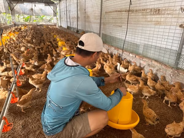Chỉ vì ngại các thủ tục vay ngân hàng nên anh Hùng đã tìm đến dịch vụ vay tiền của “nhân viên ngân hàng” online và bị lừa.