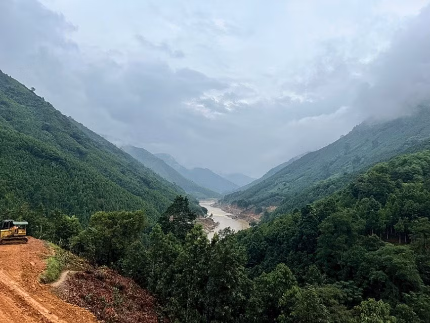 Xung quanh thôn Kho Vàng là những đồi quế, được cho là "kho vàng' mới của người dân.