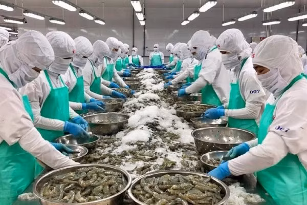 Doanh nghiệp một số ngành tại Việt Nam đã chủ động trong công tác phòng vệ thương mại.