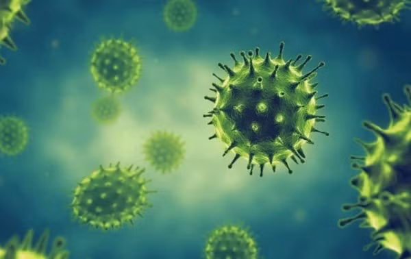 Theo Bộ Y tế, chưa ghi nhận sự thay đổi của độc lực virus cúm.
