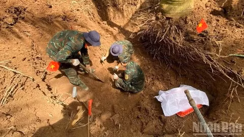 Cán bộ, chiến sĩ Đội K91 khai quật, tìm kiếm hài cốt liệt sĩ tại vườn dừa của hộ dân (Nghĩa trang Cả Cái cũ), ấp Cả Cái, xã Tân Thành, tỉnh Đồng Tháp. (Ảnh: CHÍ PHÚC)
