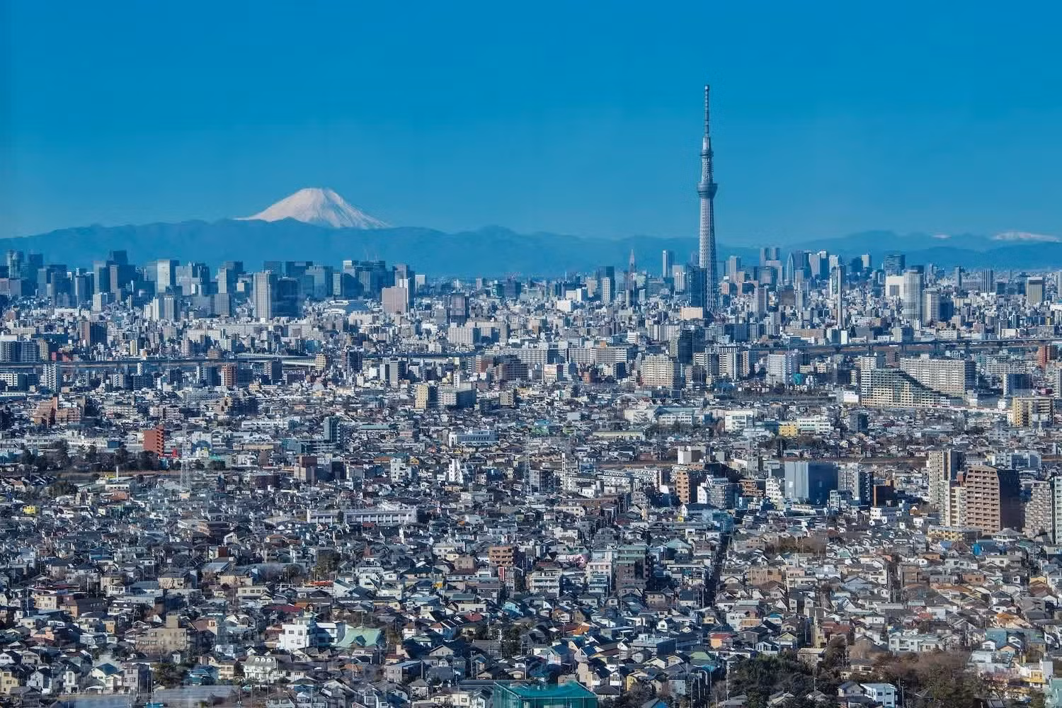 Theo Kyodo, thủ đô dự phòng sẽ đảm nhận các chức năng thiết yếu khi Tokyo không thể vận hành bình thường, đồng thời góp phần giảm tình trạng tập trung quá mức nguồn lực kinh tế và dân cư tại khu vực thủ đô.