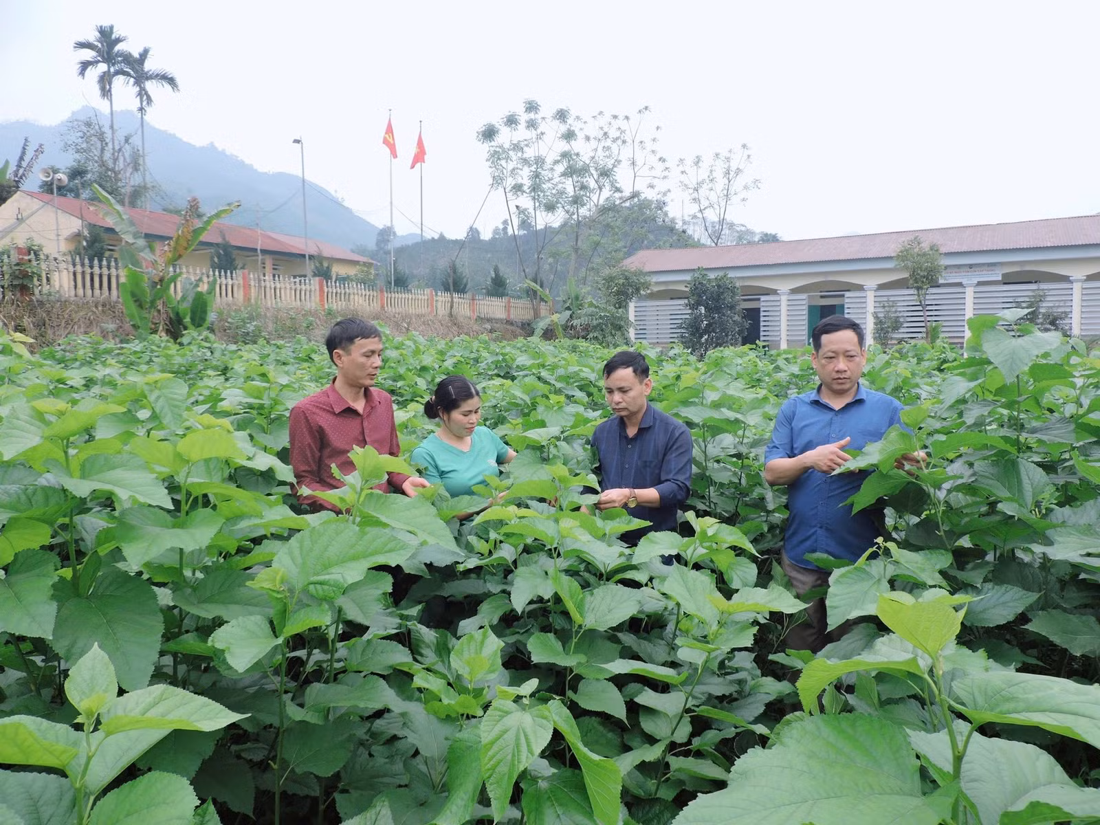 Hiệu quả sử dụng vốn cũng cần được nâng lên thông qua sự phối hợp giữa tín dụng chính sách với đào tạo nghề, chuyển giao khoa học - kỹ thuật, tư vấn việc làm và kết nối thị trường tiêu thụ sản phẩm