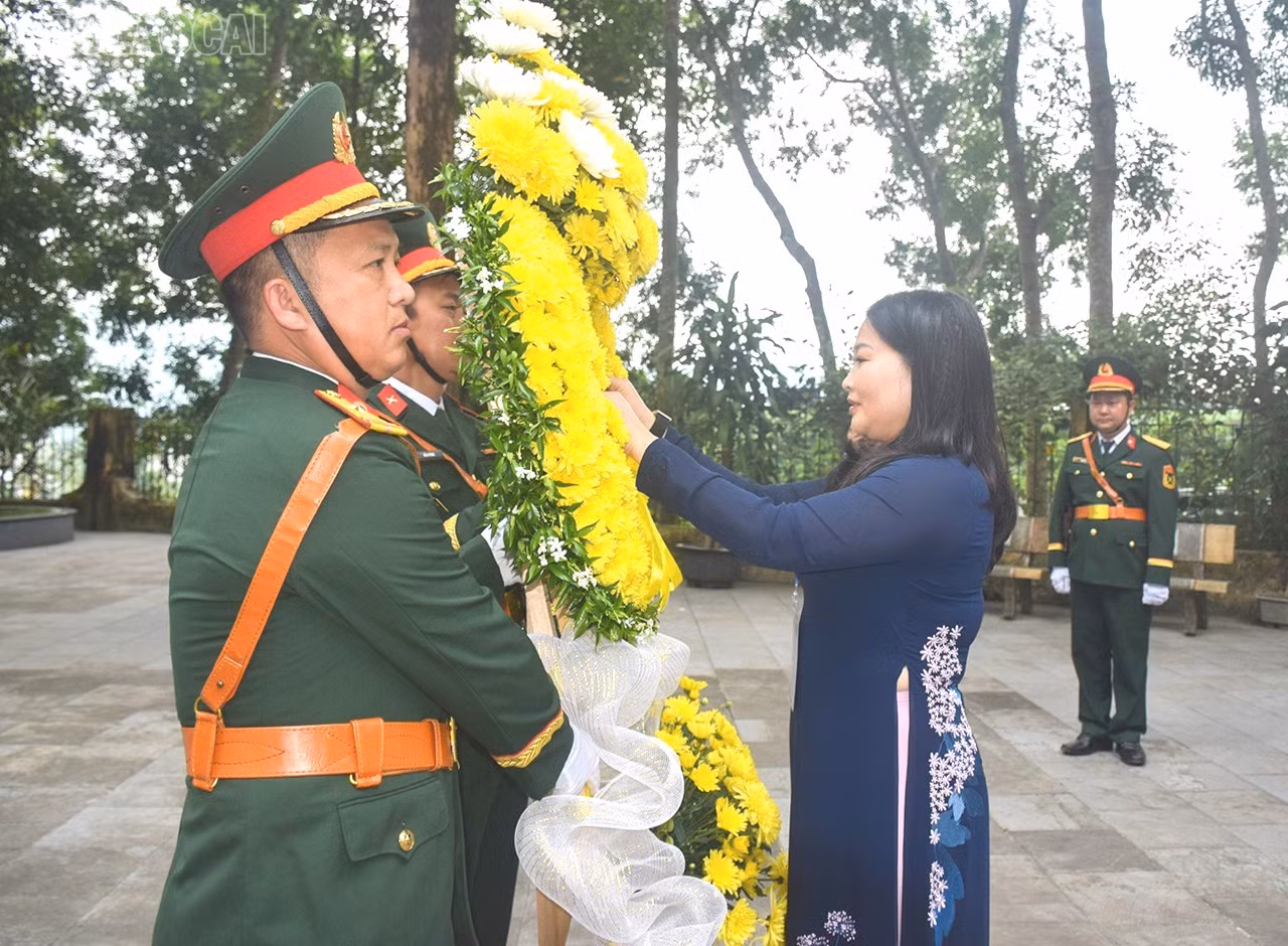baolaocai-tl_5e9dd60f-ec1f-4bce-bd8a-d6f5fbac9a0f.jpg