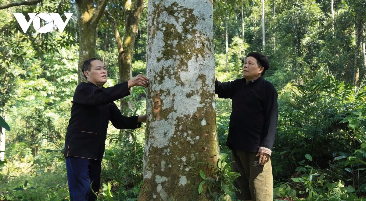 nguoi-dan-dia-phuong-goi-cay-que-la.jpg