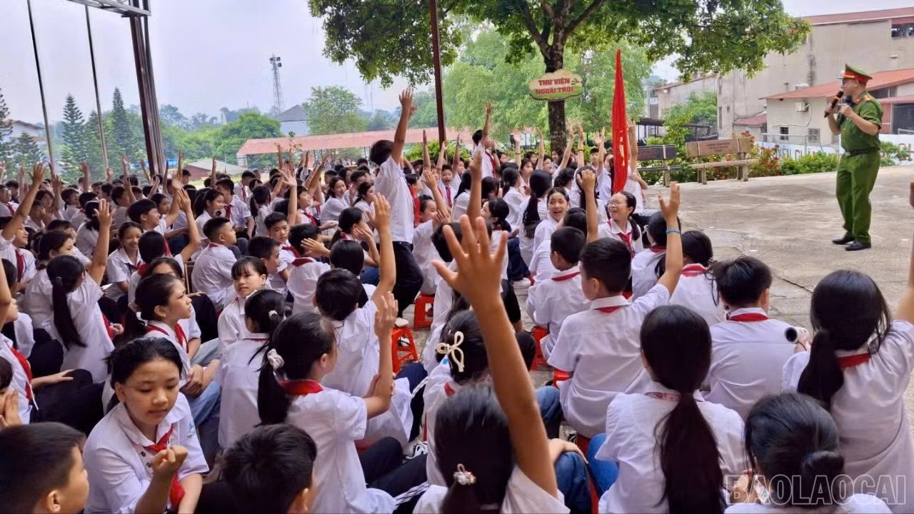 baolaocai-tr-z7219617858006-178b80e1168caf460fb8f405d45a5f00.jpg