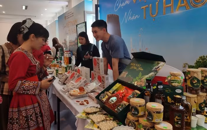Gian hàng tại Tuần lễ Nông sản Việt 2025 do Cục Quản lý và Phát triển thị trường trong nước (Bộ Công Thương) tổ chức góp phần thúc đẩy kết nối cung cầu sản phẩm.