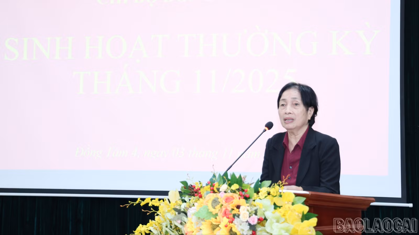 baolaocai-br-img-0018.jpg