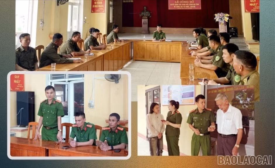 baolaocai-br-3421.jpg