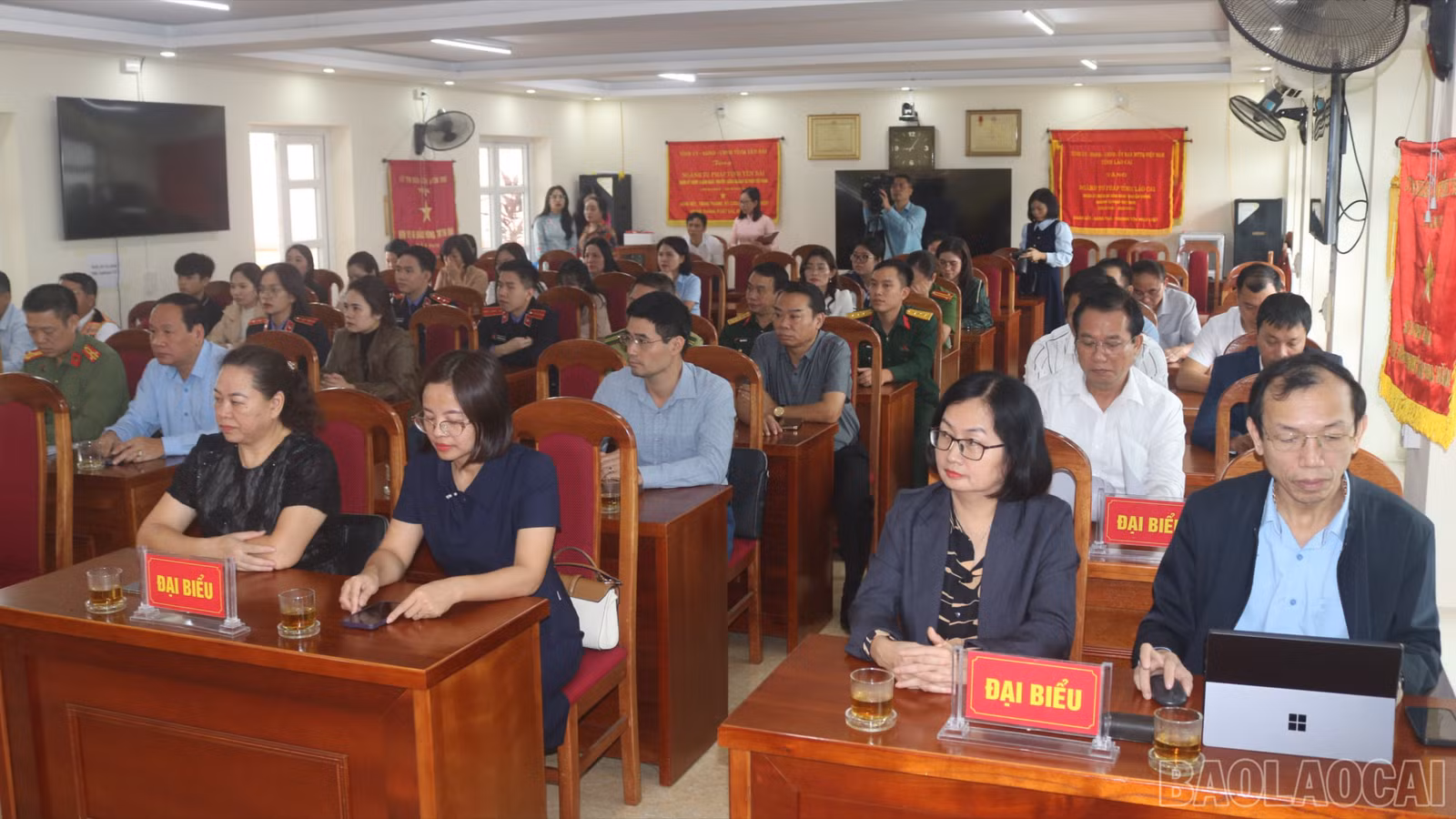 baolaocai-br_img-5080.jpg