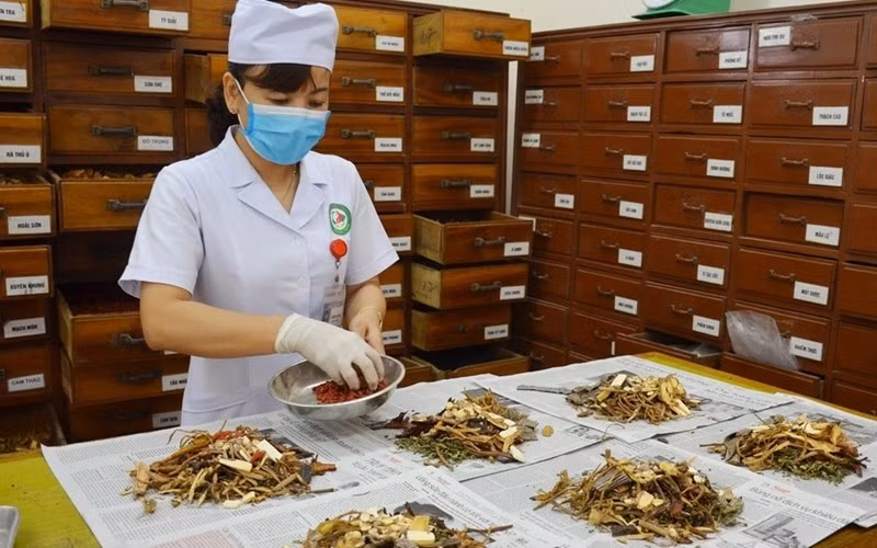 Phát huy y học cổ truyền để nâng tầm công nghiệp dược Việt Nam.