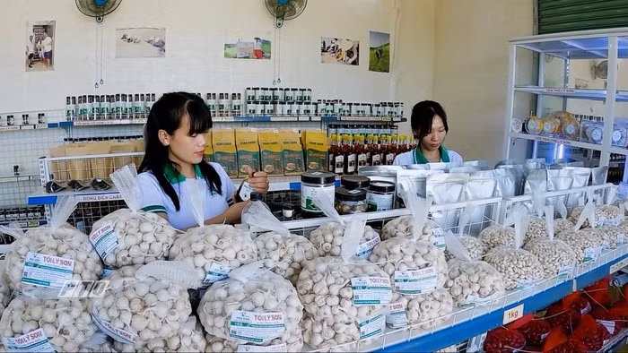 Nhiều sản phẩm đã có mặt tại các kênh phân phối hiện đại