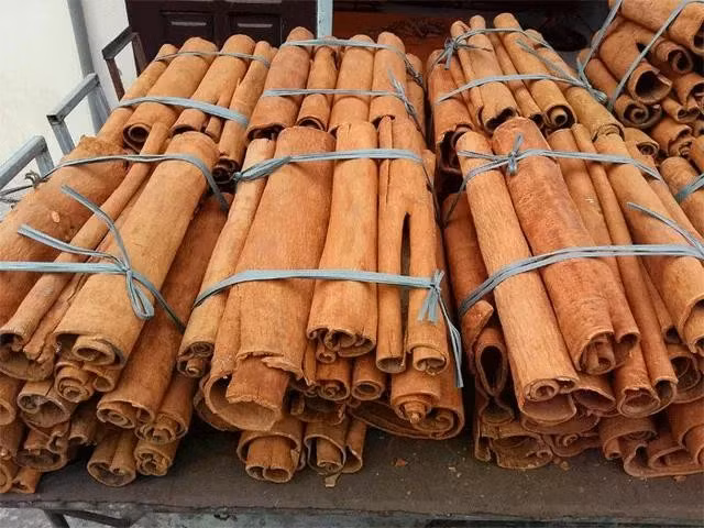Indonesia là thị trường nhập khẩu quế lớn nhất của Việt Nam.