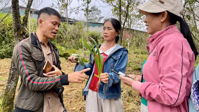 Các vùng trồng dược liệu chủ lực được hình thành trên khắp cả nước, góp phần khai thác hiệu quả tiềm năng.