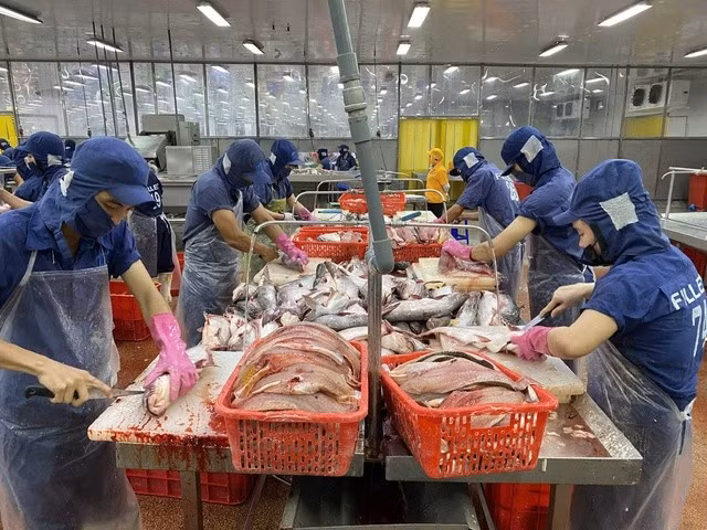 Xuất khẩu thủy sản sang Nga còn nhiều tiềm năng.